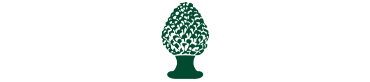 logo-top-2