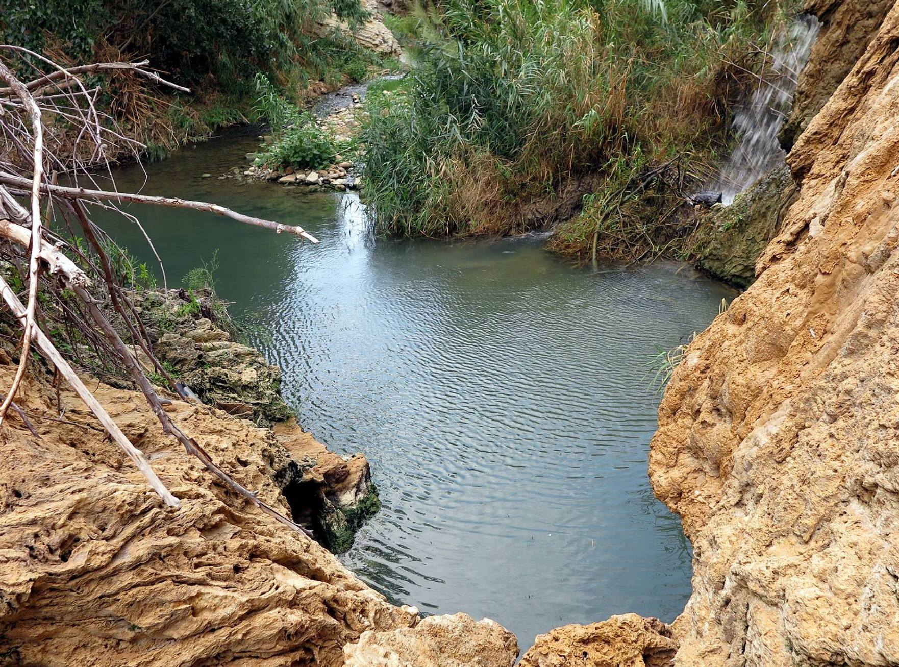 Terme-Segestane-Polle-del-Crimiso